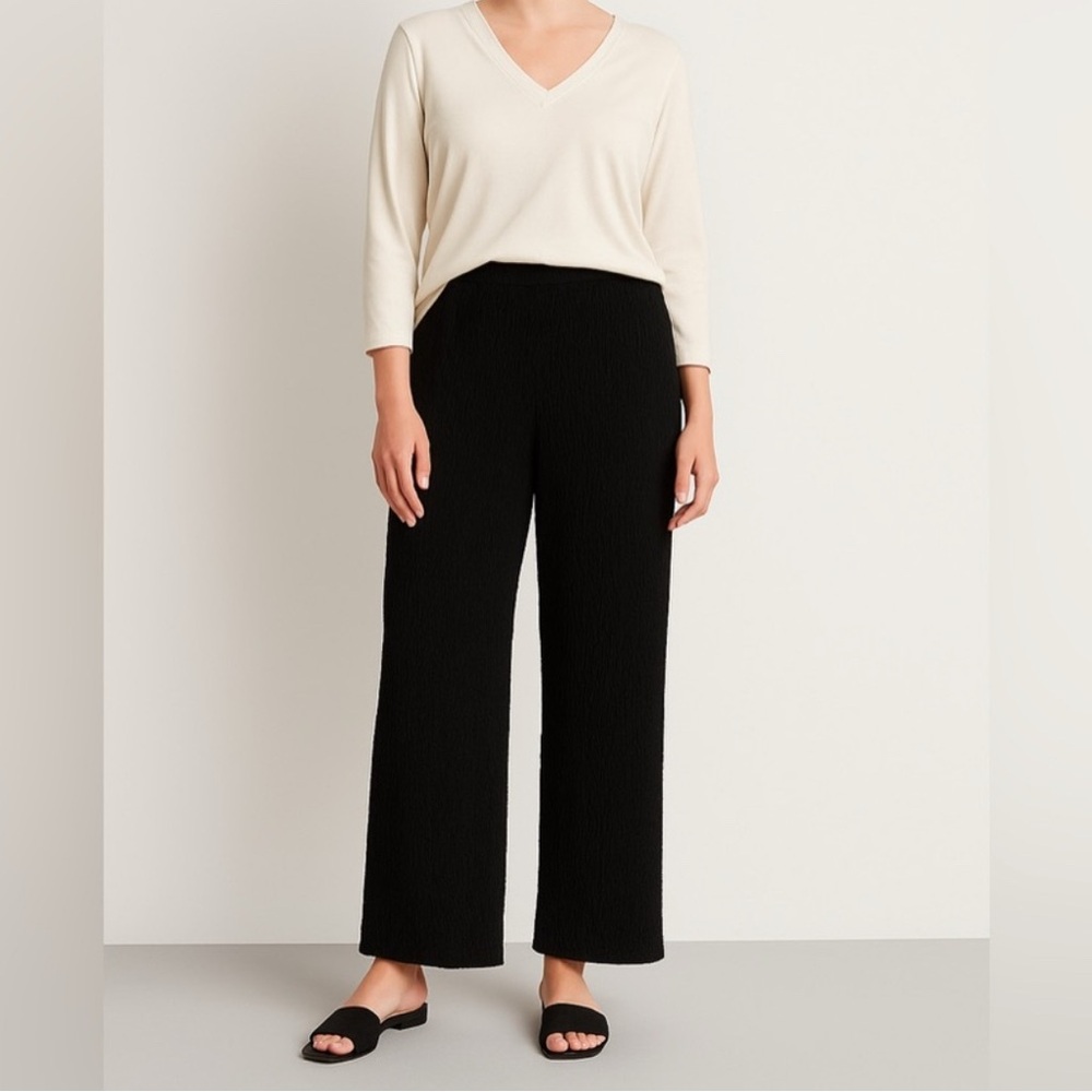 H&M semi-sheer palazzo-style pants in classic black size XL